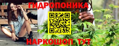 индика Мирный
