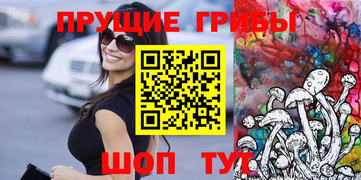 Алатырь  Галлюциногенные грибы MAGIC MUSHROOMS  Вход с VPN 