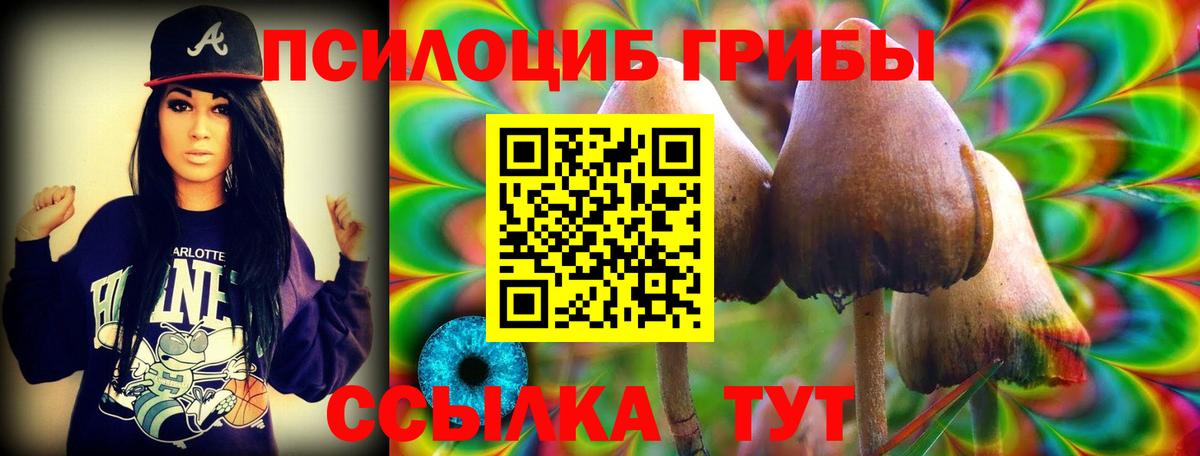 Псилоцибиновые грибы ЛСД Алатырь